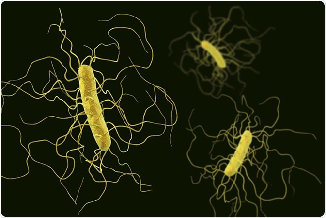 clostridium difficile toxin a és b)