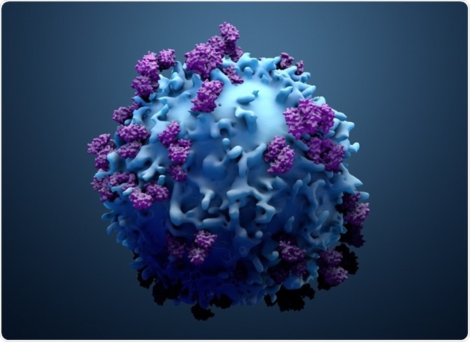 Metabolismo del linfocito T, inmunodeficiencia y enfermedad humana