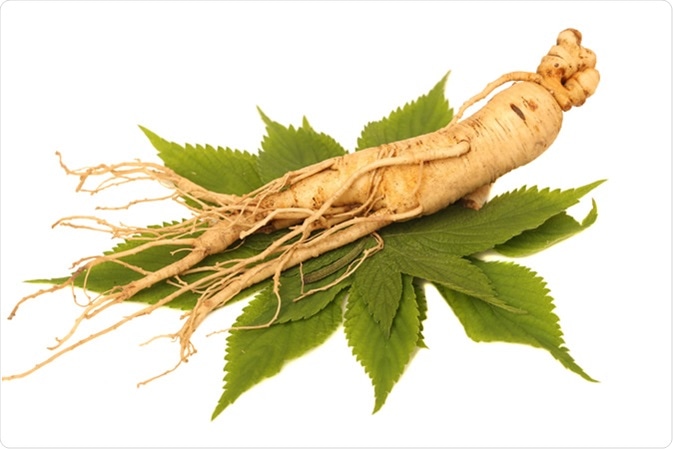 Spaans Consequent Regeringsverordening What is Ginseng?