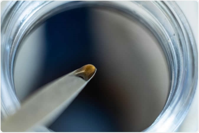 Hydrogels developed at Rice University incorporate crosslinkers that can incorporate bioactive molecules and help heal a variety of wounds. Image Credit: Jeff Fitlow / Rice University