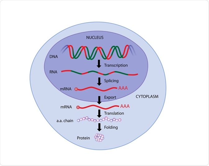 research articles in gene expression