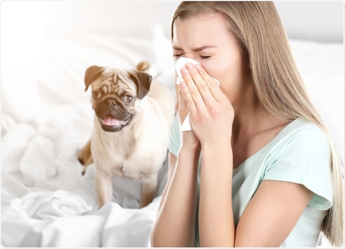 what are symptoms of dog allergies