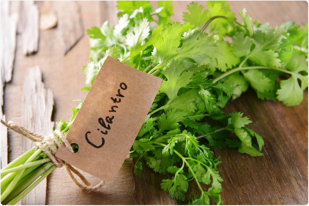 Why cilantro (coriander) is good for your health