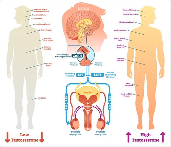 Medclub Testosterone & Bioidentical Hormones