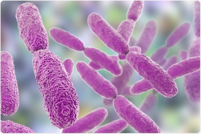 Bacteria Klebsiella, 3D illustration. Gram-negative rod-shaped bacteria which are often nosocomial antibiotic resistant - Illustration Credit: Kateryna Kon / Shutterstock