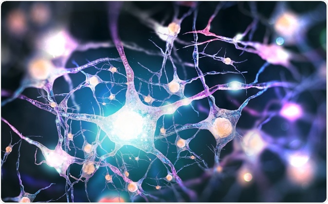 Neural network Human nervous system. 3D illustration Credit: Andrii Vodolazhskyi / Shutterstock