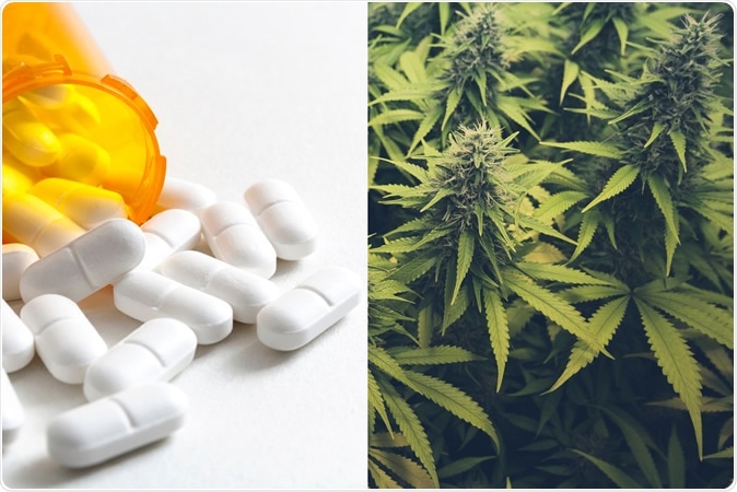 Mixing cannabis with opioids for pain report higher anxiety, depression