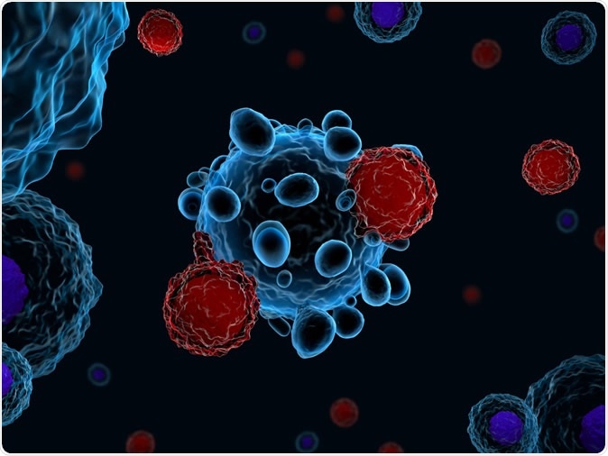 3d illustration of immune system T cells attacking cancer cells (CAR T-cell therapy) - Illustration Credit: Meletios Verras / Shutterstock