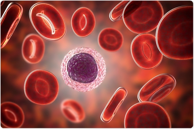Lymphocyte surrounded by red blood cells, 3D illustration