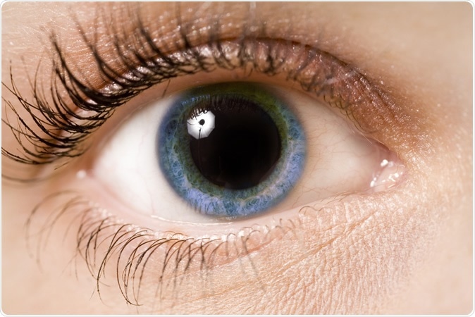 Pupil dilation provides clues to future Alzheimer’s risk