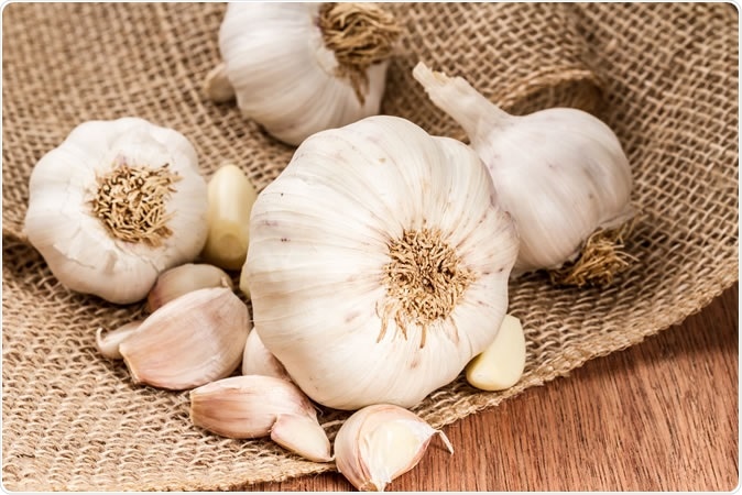 Garlic bulbs with garlic cloves