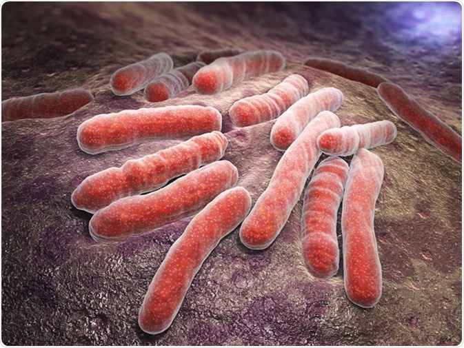 History of Tuberculosis