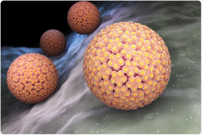 Papilloma vírus férfi képek. HPV tévhitek és tények - Dr. Siklos Krisztina