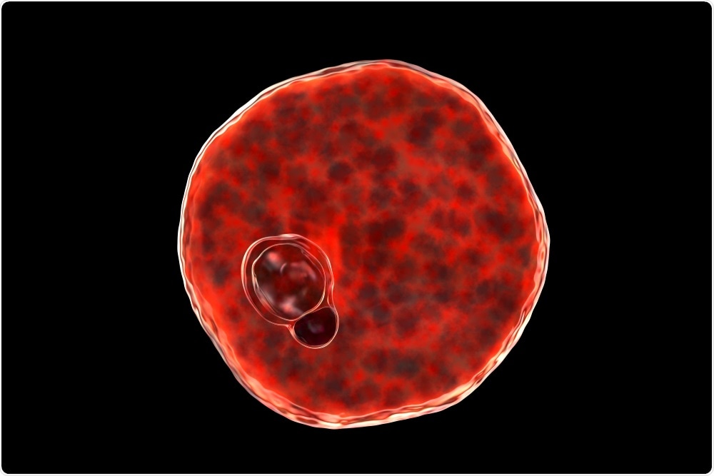 malária plazmodium