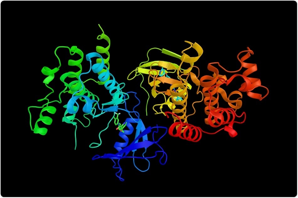 braf-protein-cancer