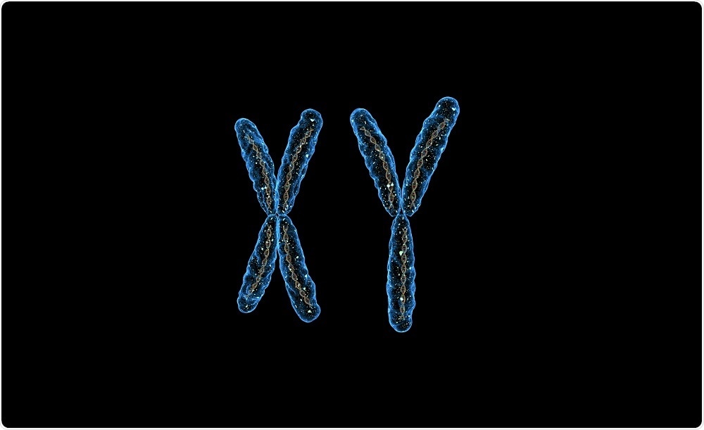 Chromosomes