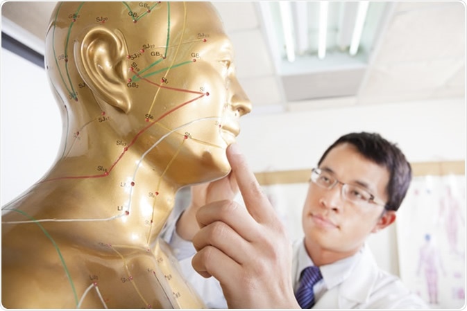 Chinese medicine doctor teaching Acupoint on human model. Image Credit: Tom Wang / Shutterstock