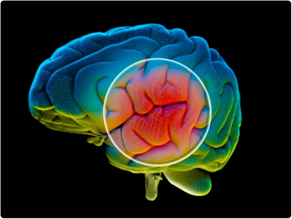 Researchers at MIT have found that light therapy can enhance synaptic function and protect against cell death in Alzheimer’s disease.