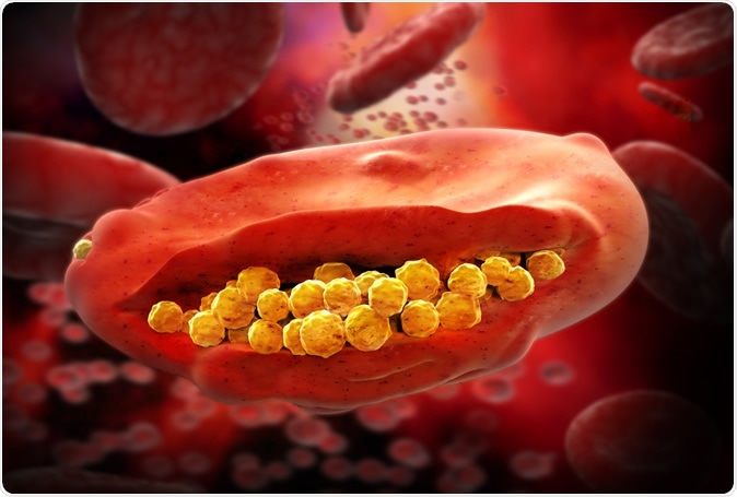 Malaria Virus Cell - 3D illustration. Image Credit: Giovanni Cancemi / Shutterstock
