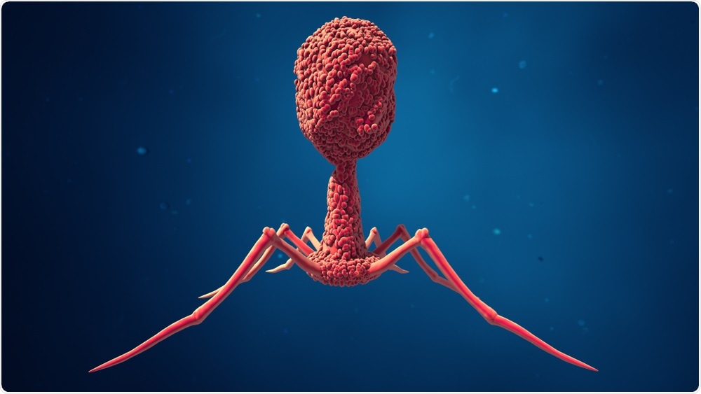 Realizing that antibiotics were not going to work, doctors decided to try an experimental treatment in the form of genetically engineered viruses (known as bacteriophages) that infect and kill bacteria.