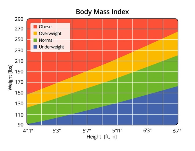 Body Mass Index in lbs and ft, in - Illustration Credit: Zerbor / Shutterstock