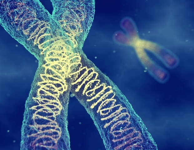 Penn Researchers Develop Breakthrough Technique for Creating Human Artificial Chromosomes