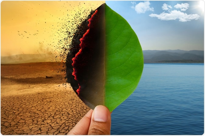 Climate change. Image Credit: Piyaset / Shutterstock