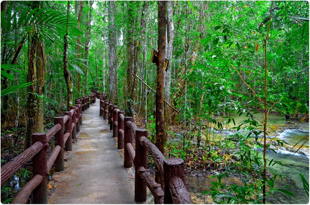 The Woodland trust is recommending that forest bathing should be prescribed on the NHS.