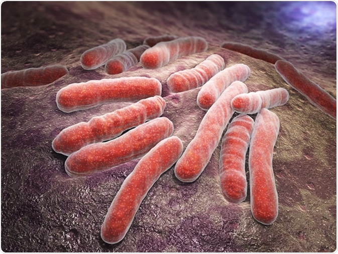 Il Mycobacterium tuberculosis è una specie batterica patogena nella famiglia delle Mycobacteriaceae e l'agente eziologico della maggior parte dei casi di tubercolosi - Illustrazione Crediti: Tatiana Shepeleva / Shutterstock