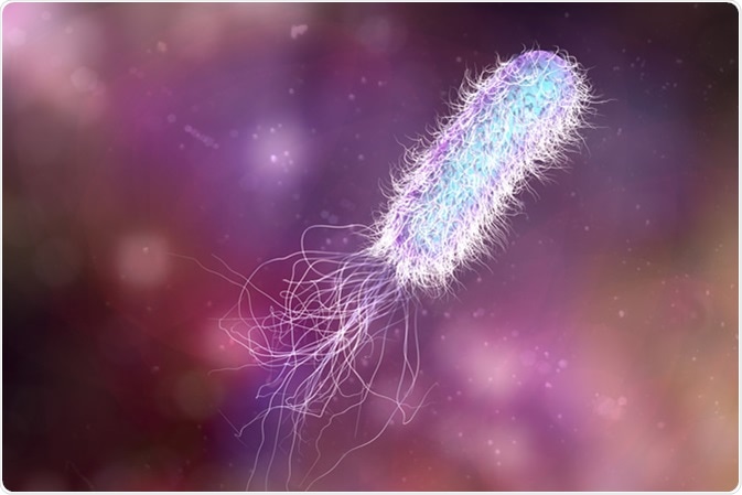Batterio Pseudomonas, batterio nosocomiale resistente agli antibiotici. L'illustrazione mostra la posizione polare dei flagelli e la presenza di pili sulla superficie batterica - Illustrazione Credit: Kateryna Kon / Shutterstock