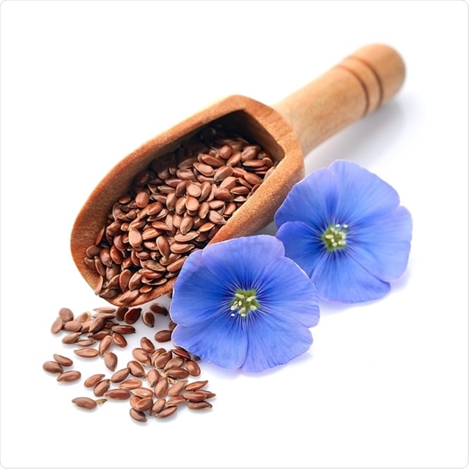 Flax seed and flax flower - Image Credit: Volosina / Shutterstock