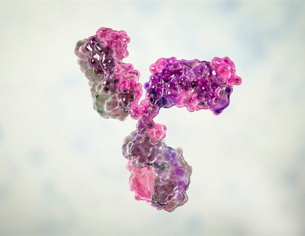 Antibody discovery could explain mysteries about COVID-19 and long COVID