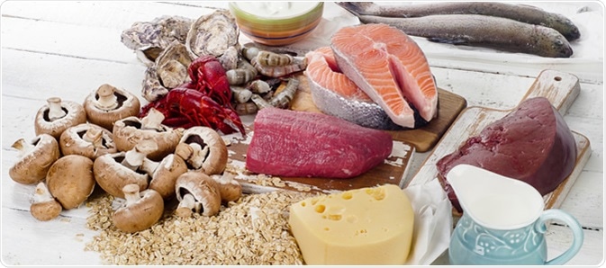 Foods of Vitamin B12 (Cobalamin). Image Credit: bitt24 / Shutterstock