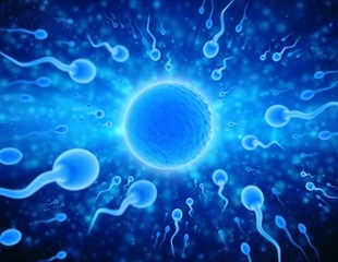 of sperm Survival