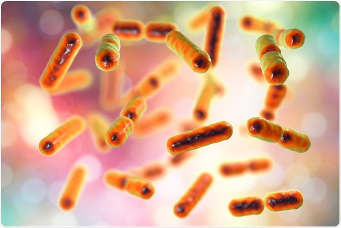 Bacteria Bacteroides fragilis, one of the major components of normal microbiome of human intestine, 3D illustration Credit: Kateryna Kon / Shutterstock