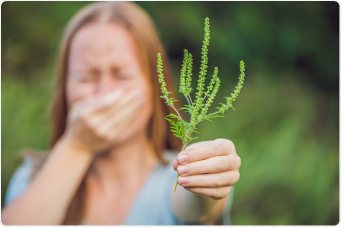 Young woman sneezing due to allergy to ragweed Image Credit: Elizaveta Galitckaia / Shutterstock
