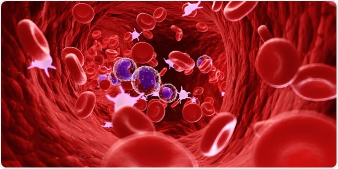 Lymphopenia Test Is Mandatory For Your Blood Quality