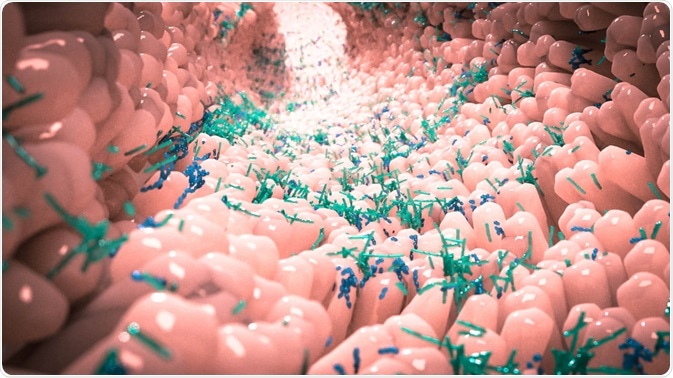 Susceptibilite De La Maladie Et Le Microbiome Susceptibilite De La Maladie Et Le Microbiome