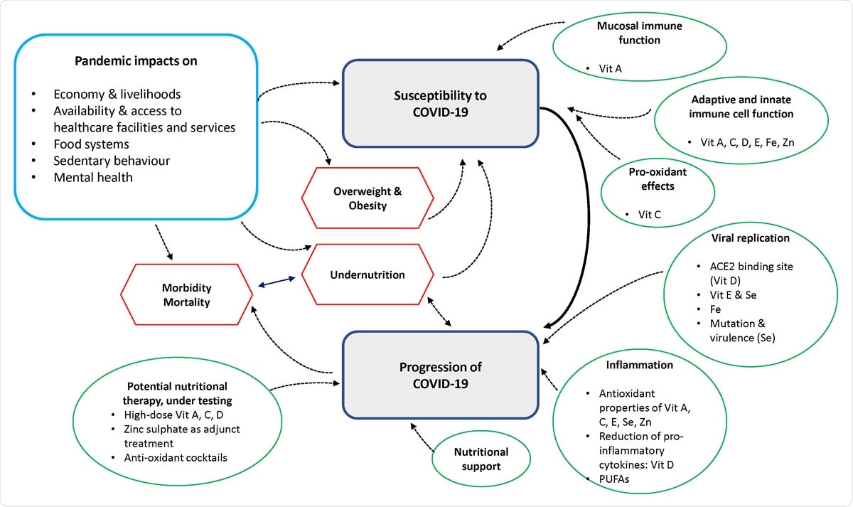 Overview diagram showing key concepts drawn from narrative synthesis
