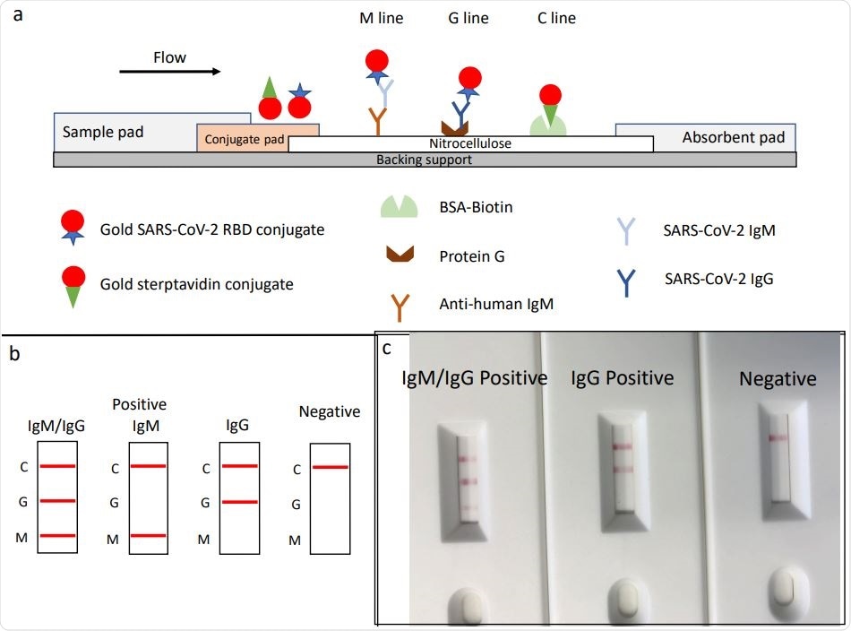 Rapid Sars Cov 2 Igm Igg Combined Antibody Test