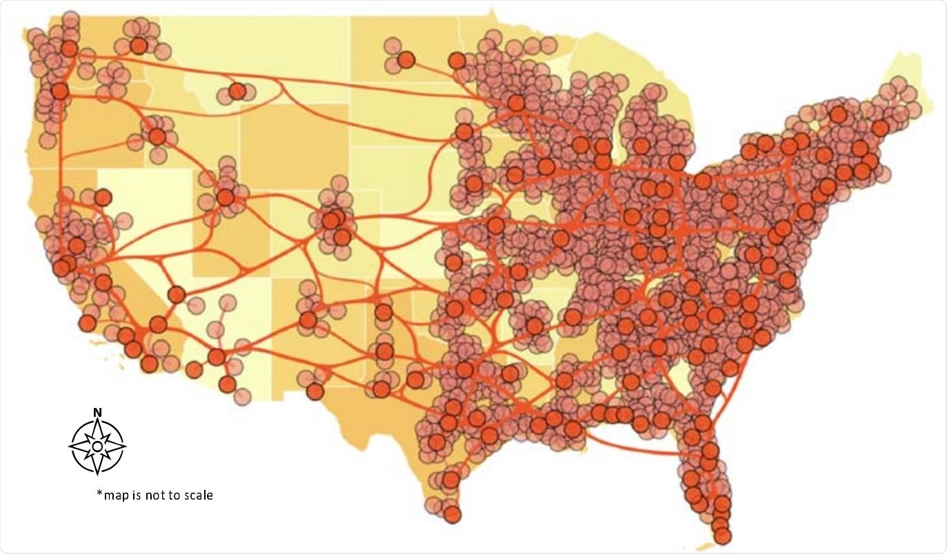 The network underlying the model.