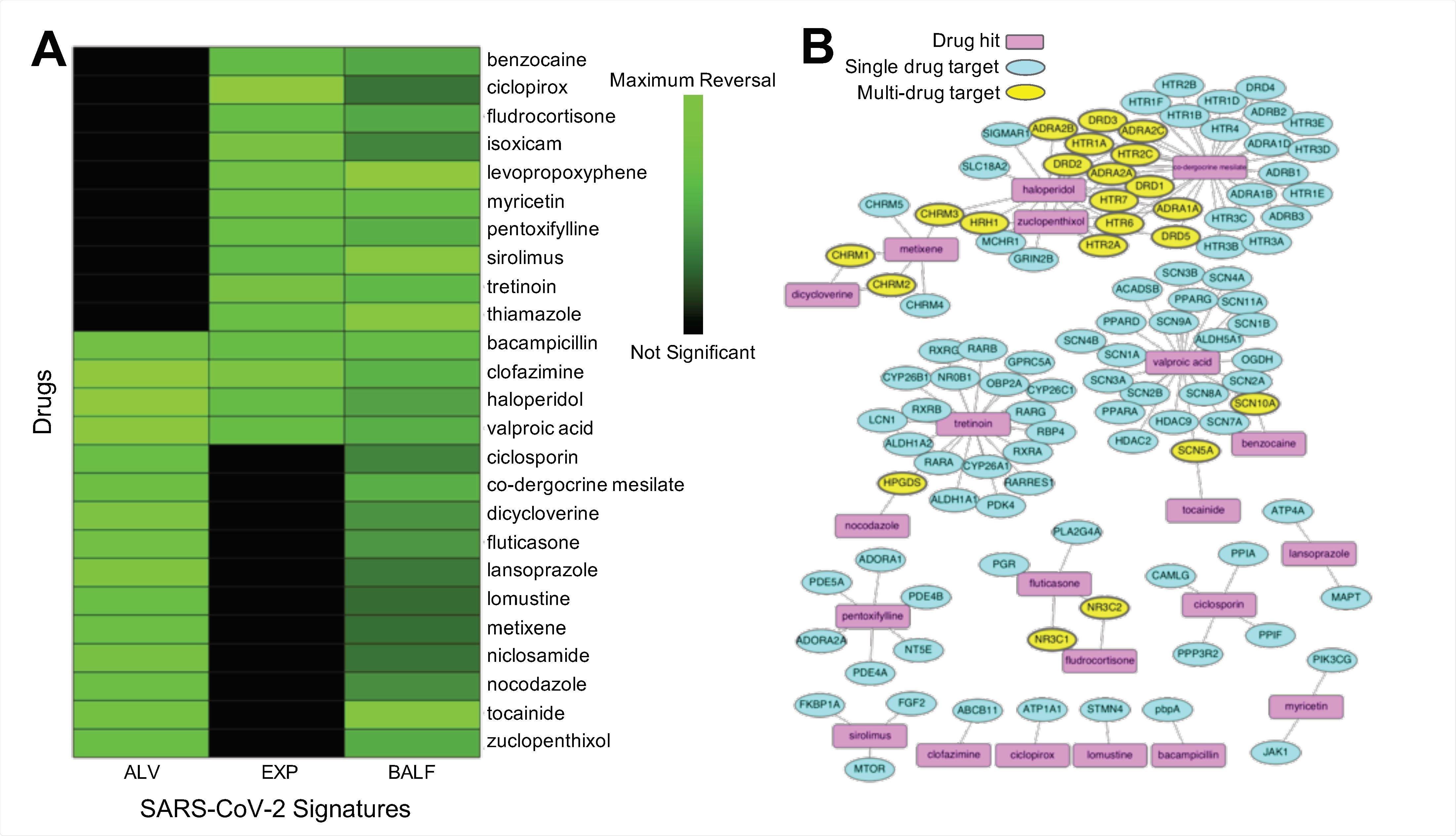 Twenty-five common drug hits were shared by at least two of the signatures (p = 0.0334), with four consensus drug hits (bacampicillin, clofazimine, haloperidol, valproic acid) across all three signatures (p = 0.0599) (A). Characterized common hits by examining interactions with proteins in humans. Known drug targets from DrugBank32 and predicted additional targets using the similarity ensemble approach (SEA)33. Visualized the known interactions from DrugBank in a network (Figure 3B)