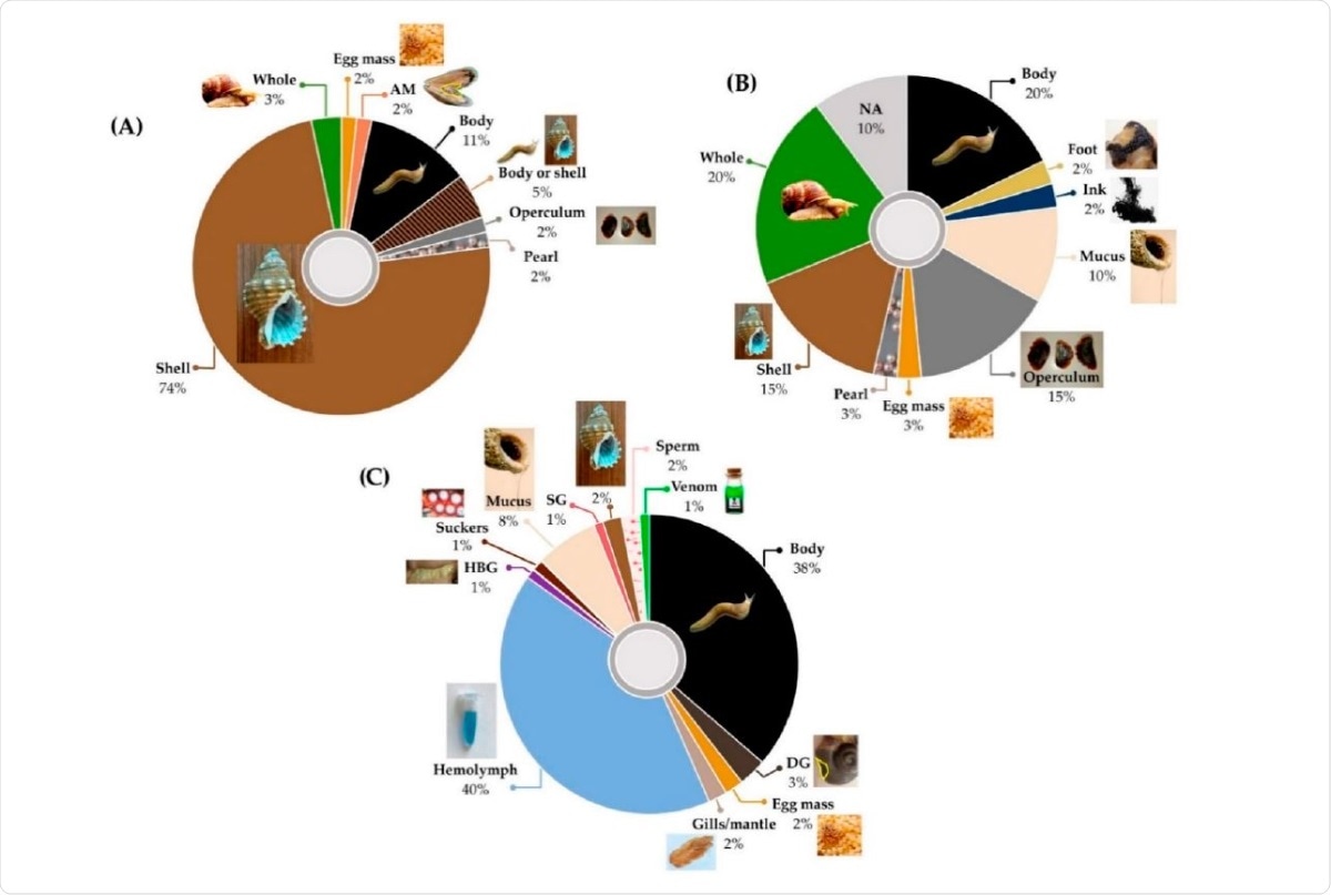 Molluscan body parts used to derive extracts/compounds in (A) Traditional Chinese Medicines (n = 61 marine remedies; [104] Table S2), (B) other traditional medicines (n = 39 remedies; Table S1) (C) in vitro, in vivo and clinical biomedical studies (n = 97 articles; Tables 5–8 and Table S3; not including studies using Hc as a model antigen Table S4). NA: not available, AM: adductor muscle, HBG: hypobranchial gland, DG: digestive gland, SG: salivary gland; shell includes cuttlebone; whole includes those listed as “whole animal” or “body and shell”