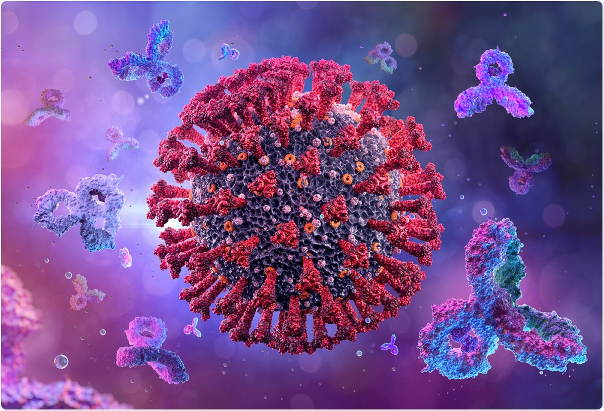 Evidência de anticorpos robustos e persistentes contra SARS-CoV-2