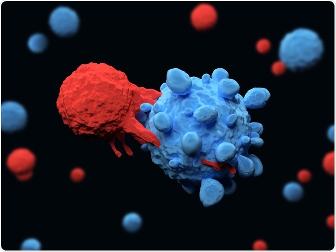 「Joshua Leonard & immune cells」的圖片搜尋結果