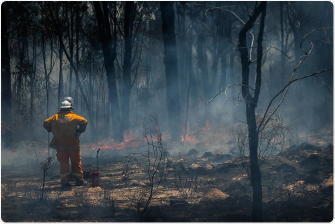 Rural Firefighter observes bushfire in Glen Innes. Image Credit: Stu Shaw / Shutterstock