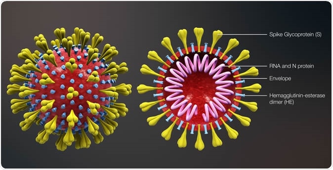 Coronavirus se ha transformado en por lo menos 30 variantes