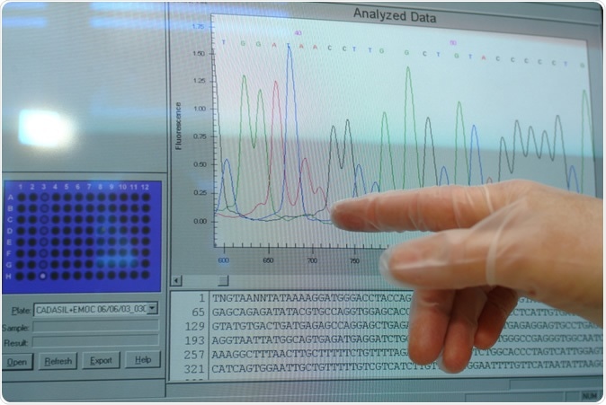 Computer monitor shows DNA sequencing. D-VISIONS / Shutterstock