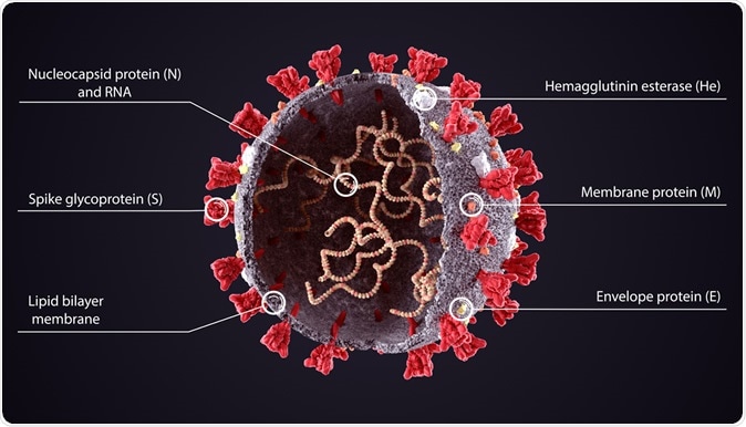 Study demonstrates dynamic and broad-scale immune alterations in ...