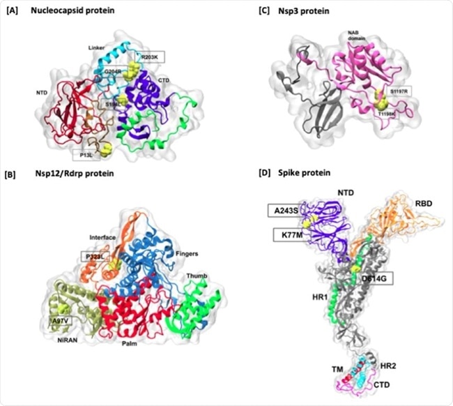 SARS-CoV-2 genome variants in India